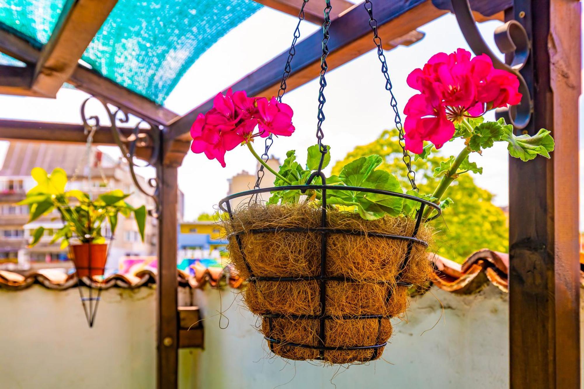 Blacksmith'S House - Old Town Φιλιππούπολη Εξωτερικό φωτογραφία